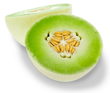melon-blanco